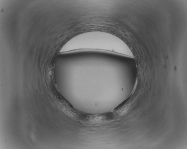 X0000069390235200605120952