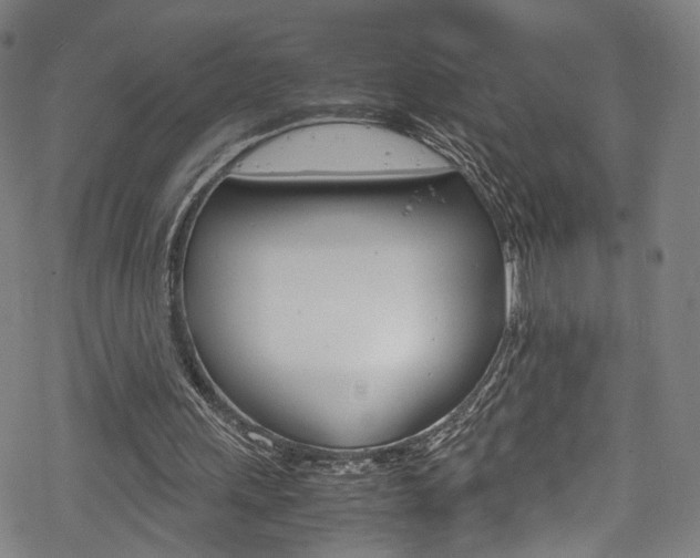 X0000069390243200605120951