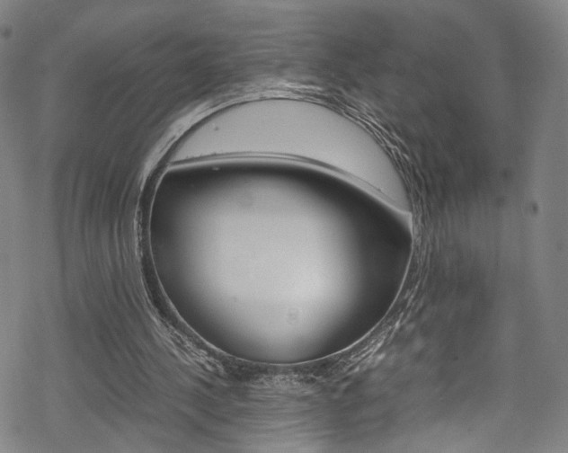 X0000069390244200605120951