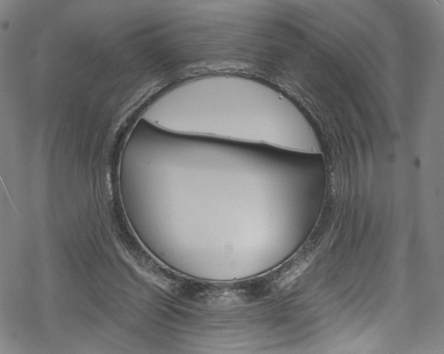 X0000069390254200605120951