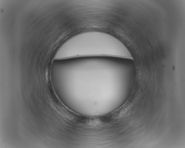 X0000069390262200605120951