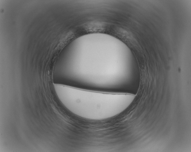 X0000069390263200605120951