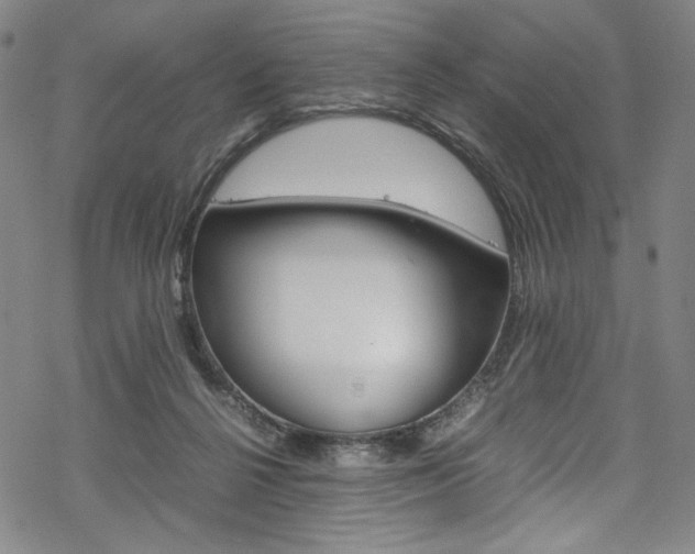 X0000069390264200605120951