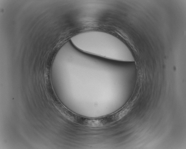 X0000069390265200605120951