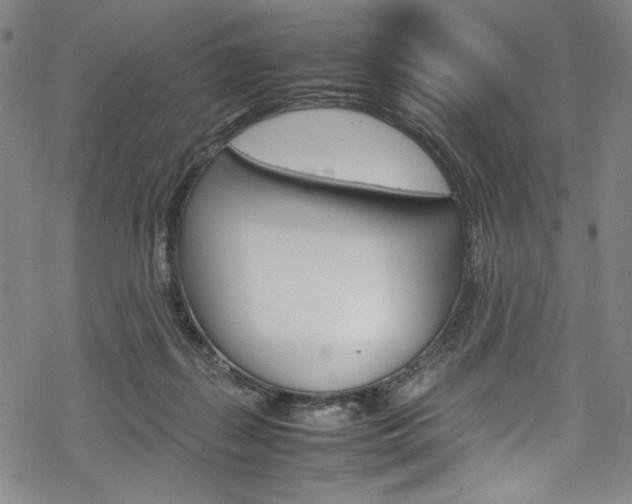 X0000069390267200605120951
