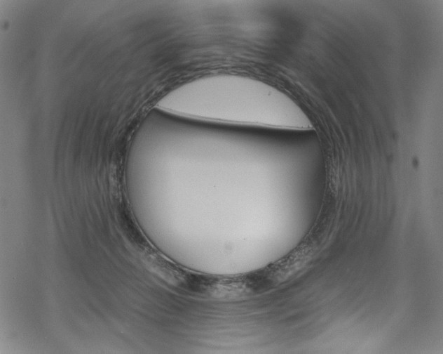 X0000069390270200605120951