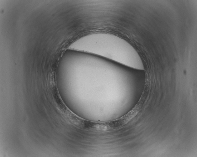 X0000069390272200605120951