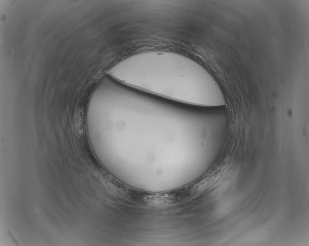 X0000069390273200605120951