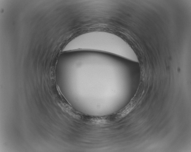X0000069390284200605120951