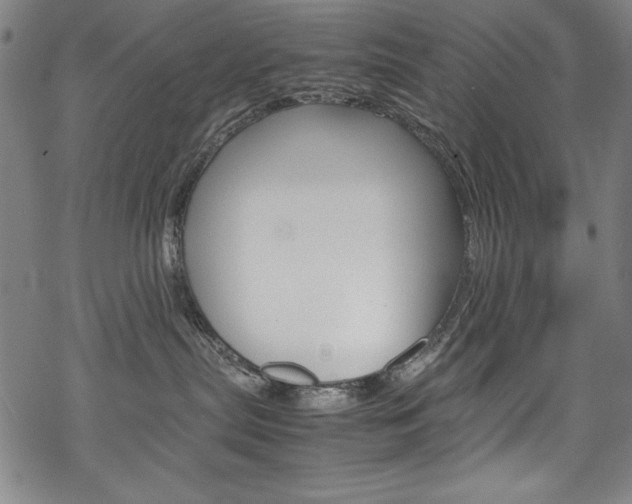 X0000069390287200605120951