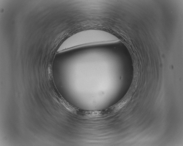 X0000069390288200605120951