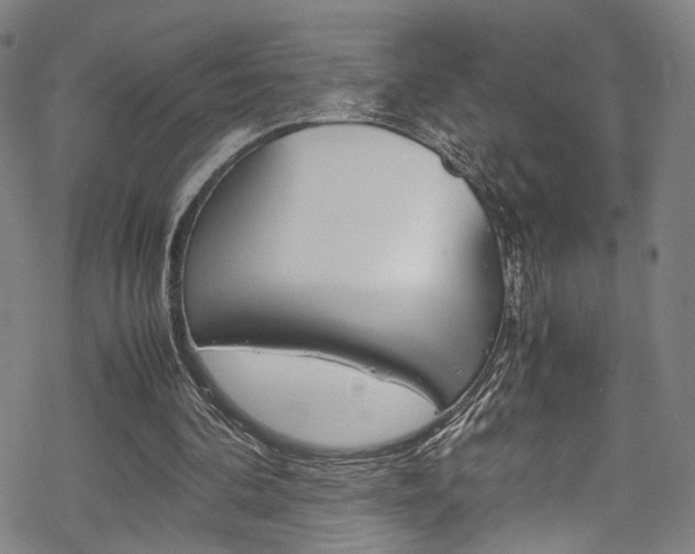 X0000069390292200605120950