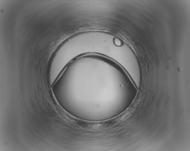 X0000069390301200605120950