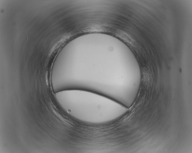 X0000069390302200605120950