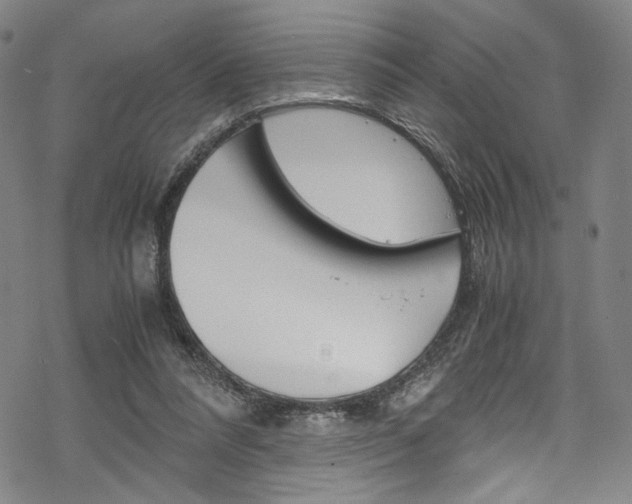 X0000069390304200605120950
