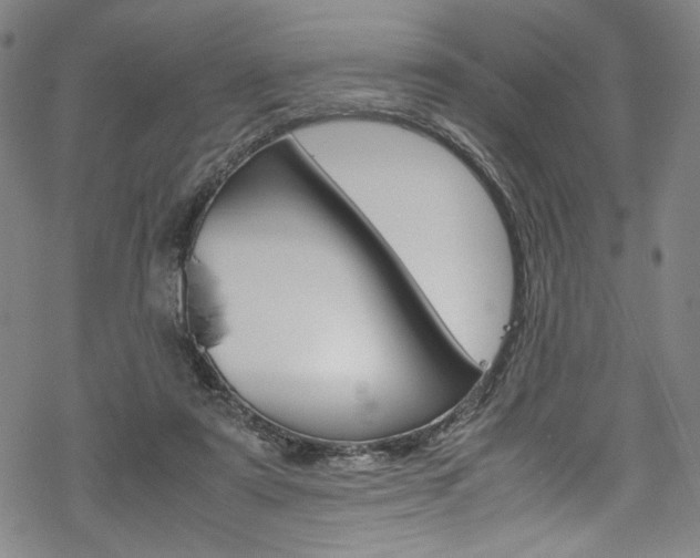 X0000069390307200605120950