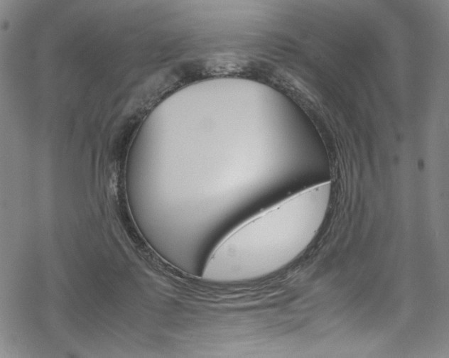 X0000069390315200605120950