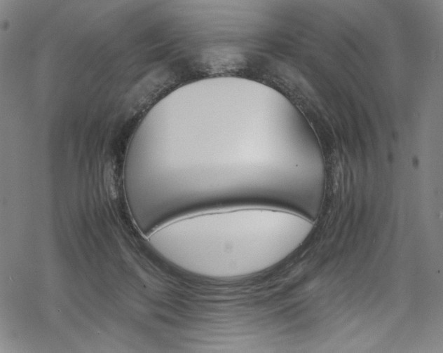 X0000069390316200605120950