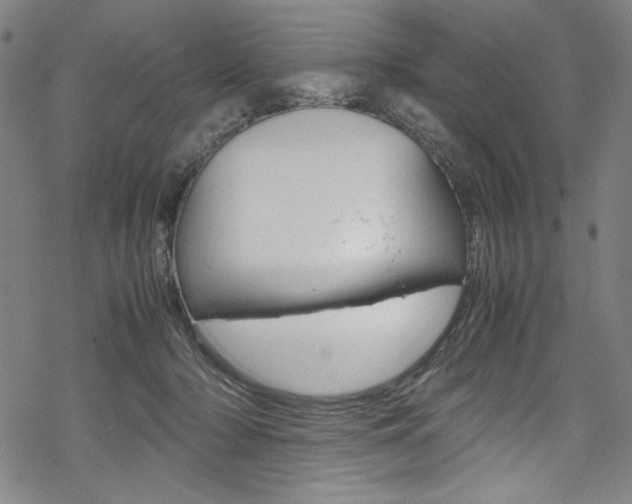 X0000069390318200605120950
