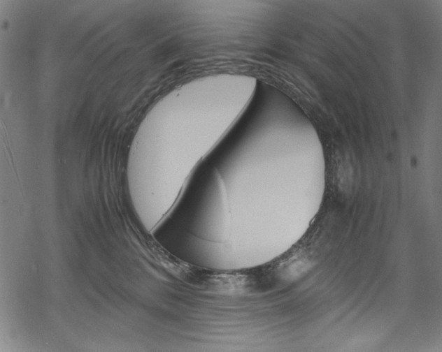 X0000069390328200605120950