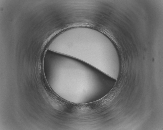 X0000069390348200605120949