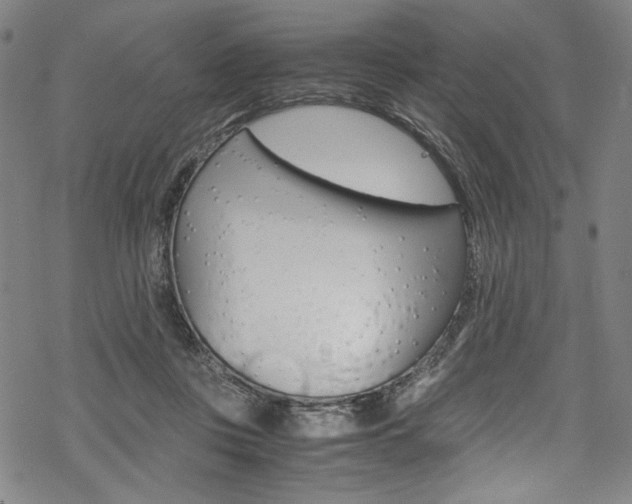 X0000069390359200605120949