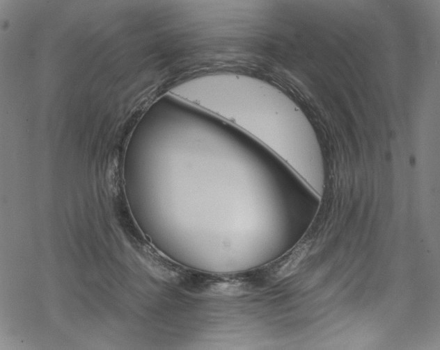 X0000069390364200605120949