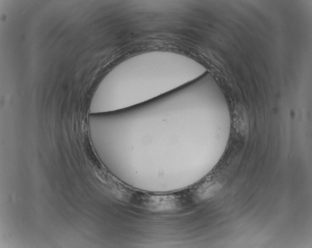 X0000069390371200605120950