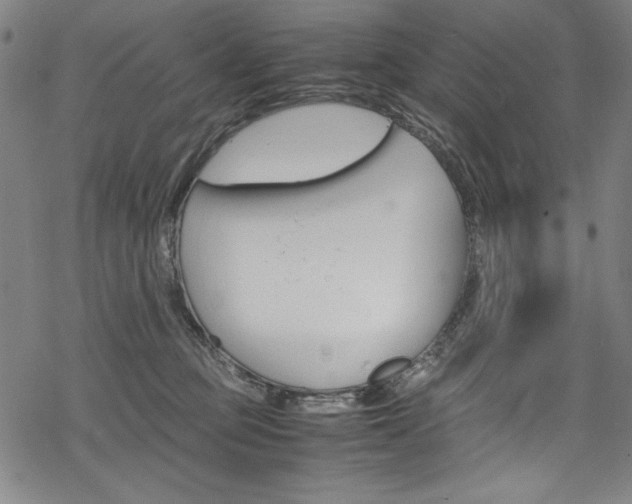 X0000069390373200605120950