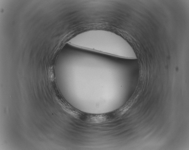 X0000069390383200605120950