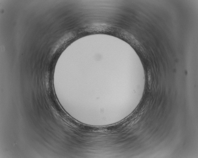 X0000069390396200605120949