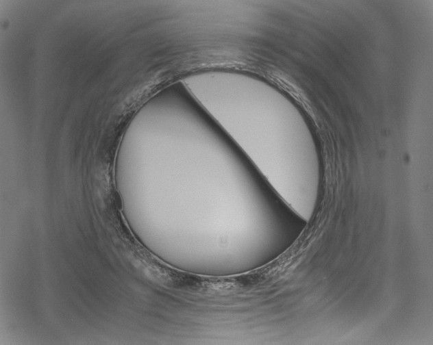 X0000069390401200605120949