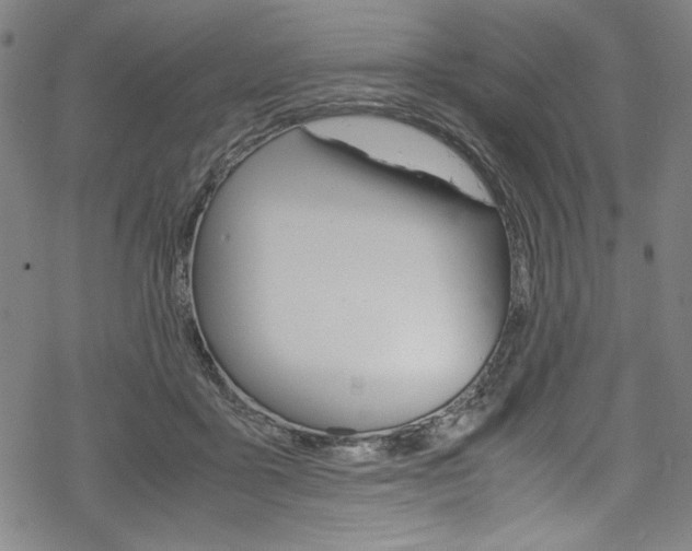 X0000069390411200605120949