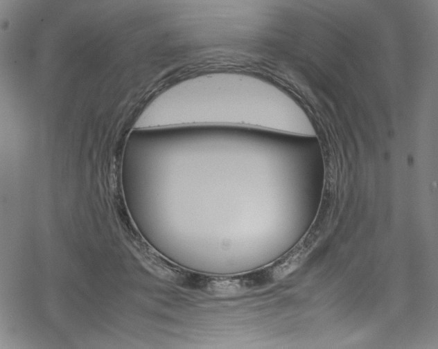 X0000069390413200605120948