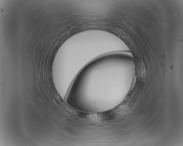 X0000069390425200605120948