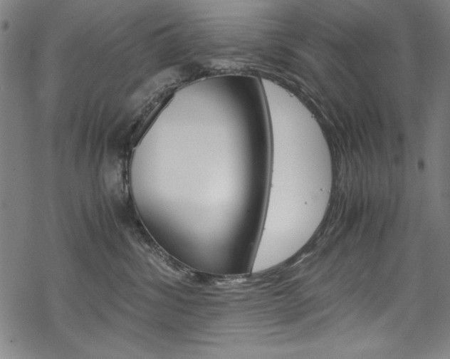 X0000069390428200605120948