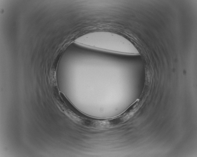X0000069390429200605120948