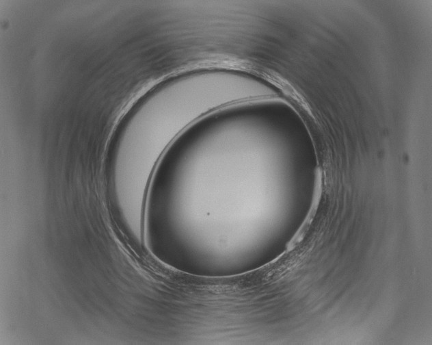 X0000069390436200605120947