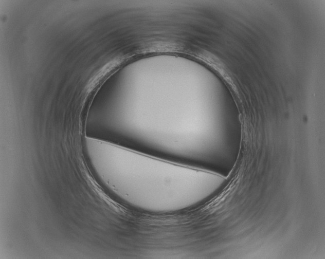 X0000069390437200605120947