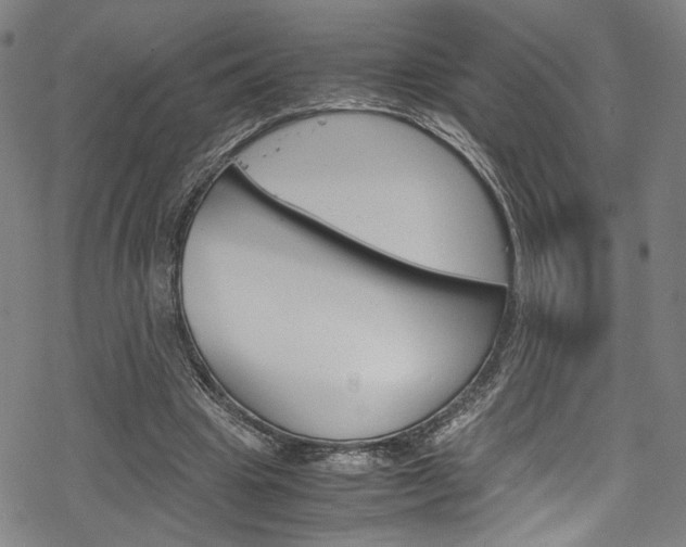 X0000069390441200605120947