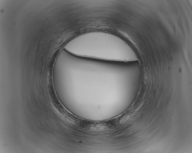 X0000069390451200605120948