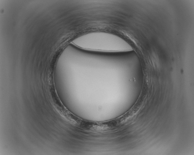 X0000069390455200605120948