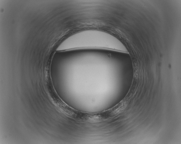 X0000069390456200605120948