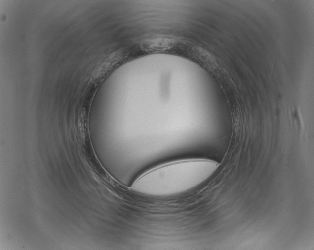 X0000069390460200605120948