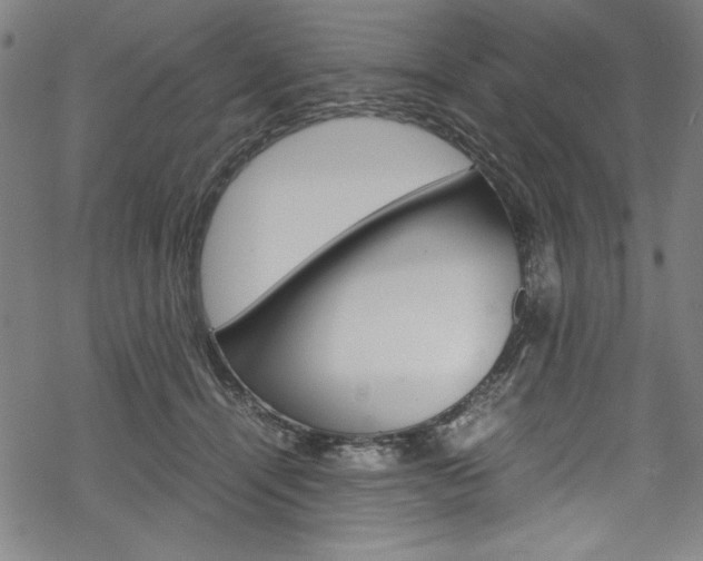 X0000069390464200605120948