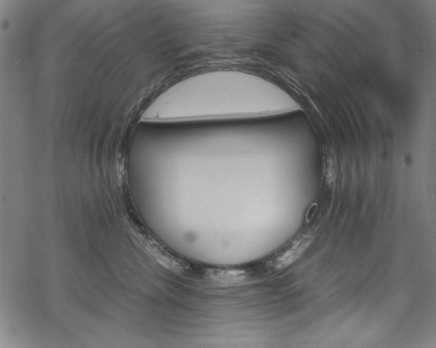 X0000069390476200605120948