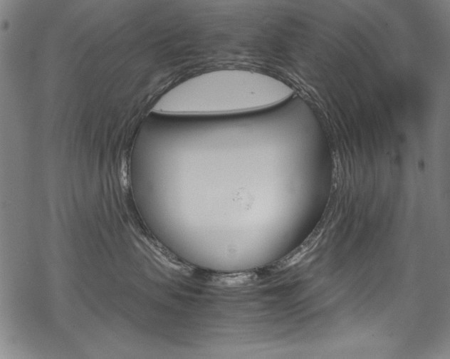X0000069390479200605120948