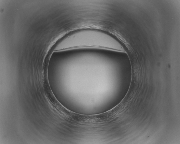 X0000069390488200605120947
