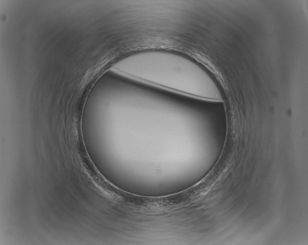 X0000069390489200605120947
