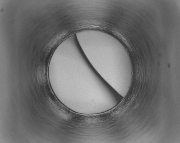 X0000069390490200605120947